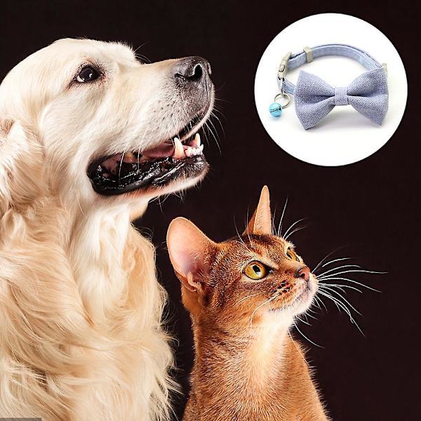2023 Dog Collar And Leash Set With Poop Bag Dispenser Girl Dog Collar With Safety Metal Clasp And Cute