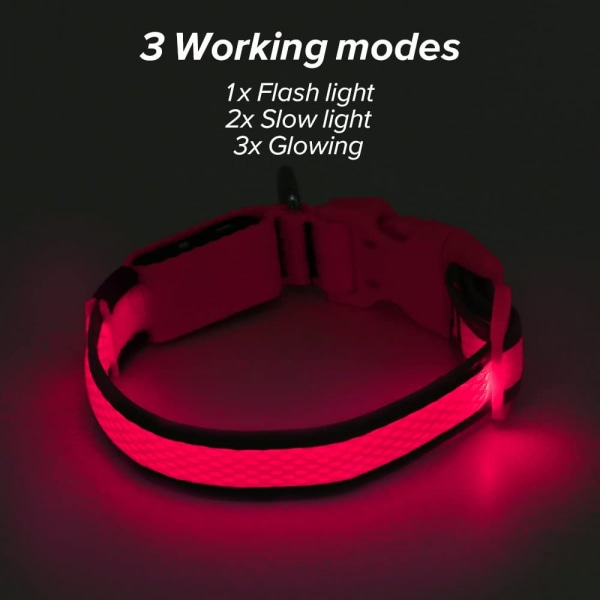 Mordely LED-hundhalsband, USB uppladdningsbara belysningslampor för hundhalsband, Pink M