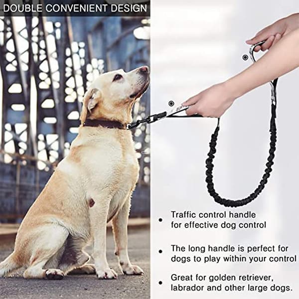 2023 Dog Leash Traffic Padded Two Printing Handle, Reflective Leashes For Control Safety Training