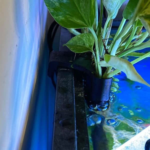 Mordely Emerging Plant Holder Fish Tank LÅNG LÅNG Long