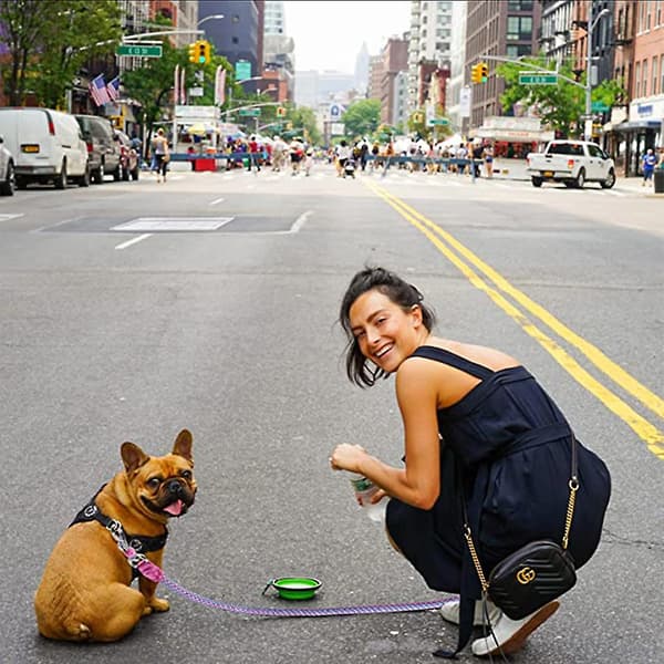 Mordely Reflective Threads Rope Dog Leash For Training And Walking