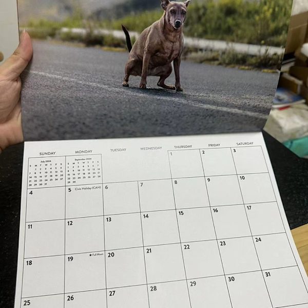 Mordely Rolig kalenderpresent 2024-kalender för hundbajsande kalender