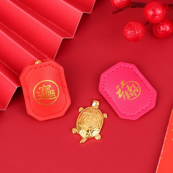 Mordely 2st present Miserly Turtle Feng Shui 3