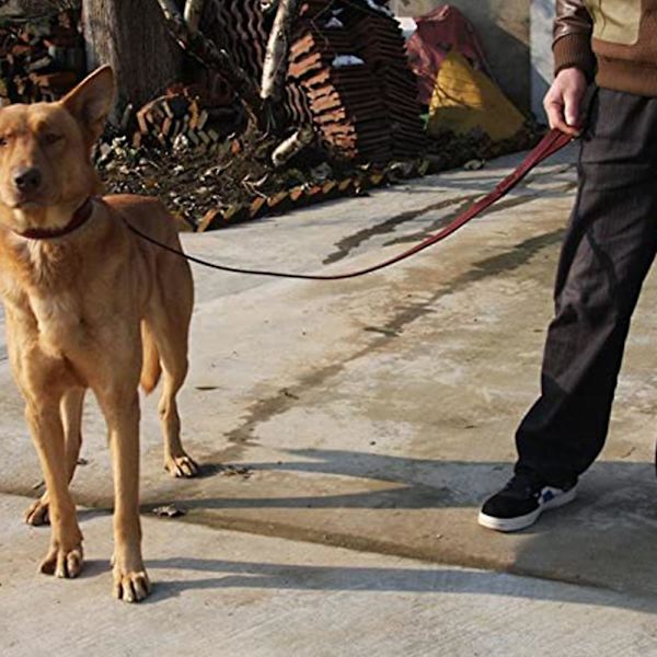 Mordely Leather Training Leash For Dogs