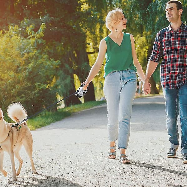 Mordely Retractable Dog Leash 5m With Led Flashlight For Small Medium Big Breed Dogs, Extendable Leash For Night Walks