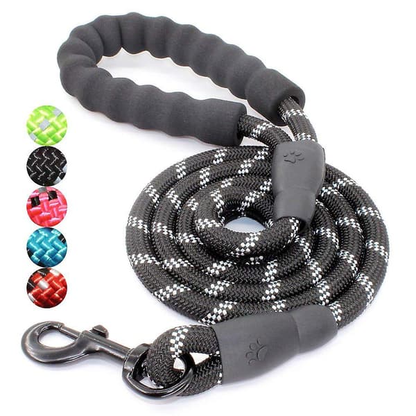 5 Ft Strong Dog Leash With Comfortable Padded Handle And Highly Reflective Threads Dog Leashes For Medium And Large Dogs