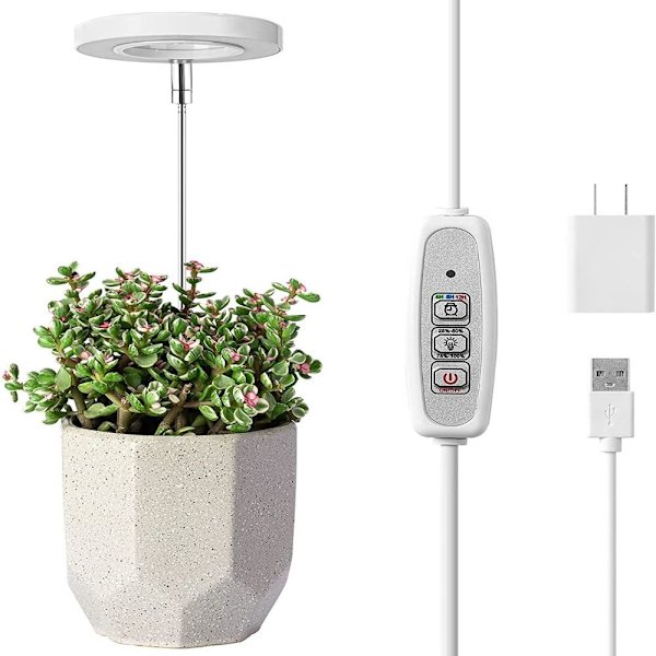 Mordely Grow Light-odlingslampa 1
