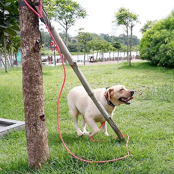 Mordely Outdoor Training Long Dog Leash