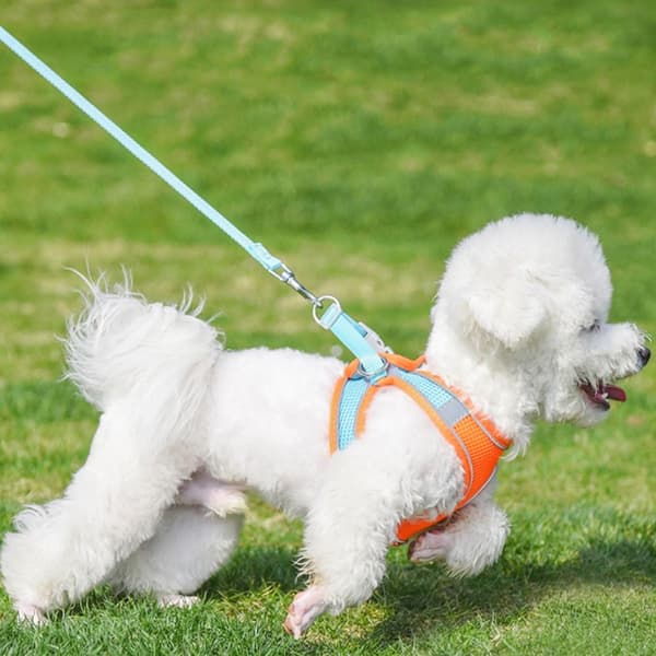 Mordely Hundesele til hunde Hundebrystrem PINK pink M