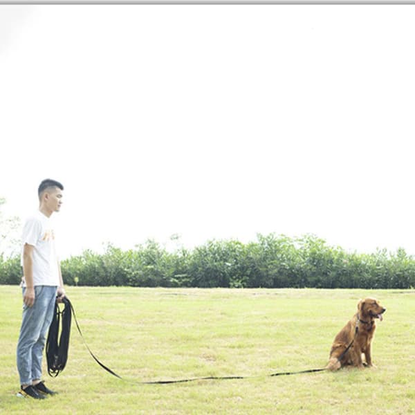 Dog/puppy Obedience Recall Training Agility Training Leash, Extended Rope For Training. Play