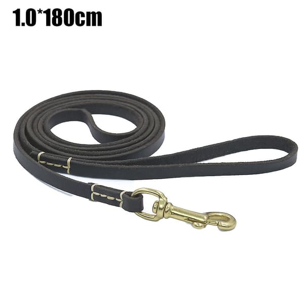 Mordely Leather Training Leash For Dogs