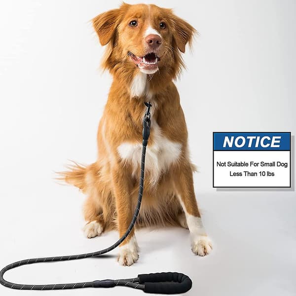 Durable Nylon Dog Leash, Dog Leash, With High Reflective Line And Comfortable Cushion Handle