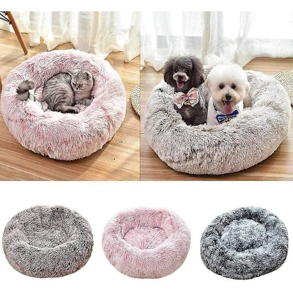 Cheap small cheap dog beds