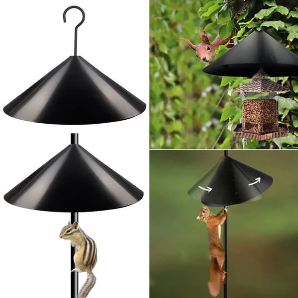 Mordely Squirrel Baffle Bird Feeder Pole 12INCHNO HOOK NO HOOK 12inch 12inchno hook