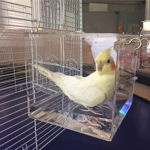 Mordely Spacious Birdbath With Acrylic Hanging Hooks For Parrots