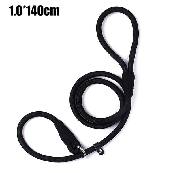 Outdoor Training Long Dog Leash