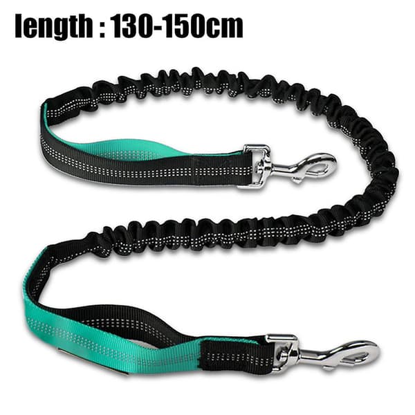 2023 Dog Leash Traffic Padded Two Printing Handle, Reflective Leashes For Control Safety Training