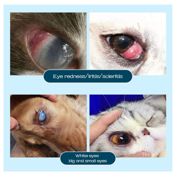 Mordely Katt och hund Ögonsalva Husdjur Ögonsalva Hornhinneinflammation E