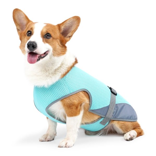 Sommar Dog Kylväst Hundkläder LAKE BLUE lake blue XL