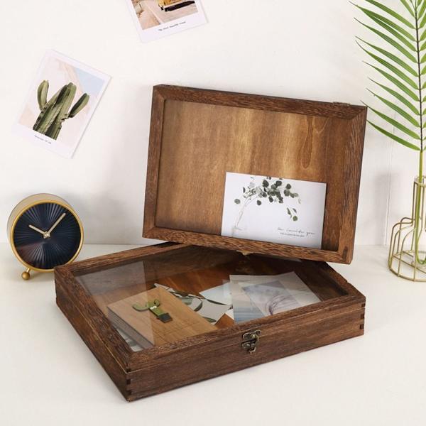 Mordely Case Bildram Insektsexemplar Display Box M