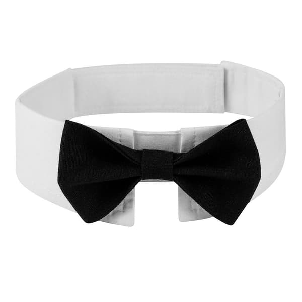 Hundslips fluga krage SVART Black L