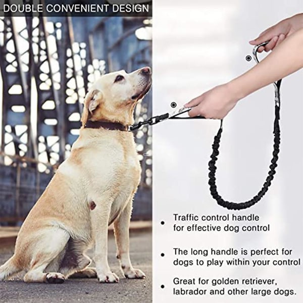 Dog Leash Traffic Padded Two Printing Handle, Reflective Leashes For Control Safety Training