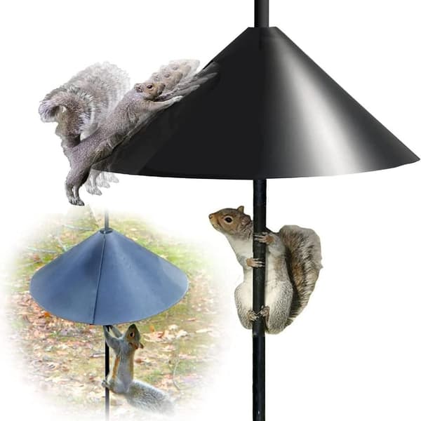 Mordely Squirrel Baffle Bird Feeder Pole 16TOM MED KROK MED KROK 16inch 16inchwith hook