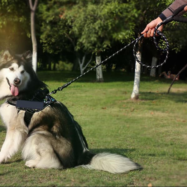 Dog Leash Traffic Padded Two Handles, Reflective Threads For Control Safety Training For Dogs