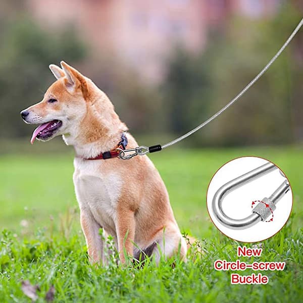 Leash With Handle And Carabiner For Dog Walking, Climbing