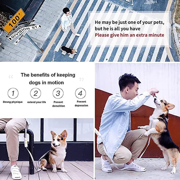 Mordely Dog Leash With Anti-slip Handle, Threads Rope For Small Medium Dogs