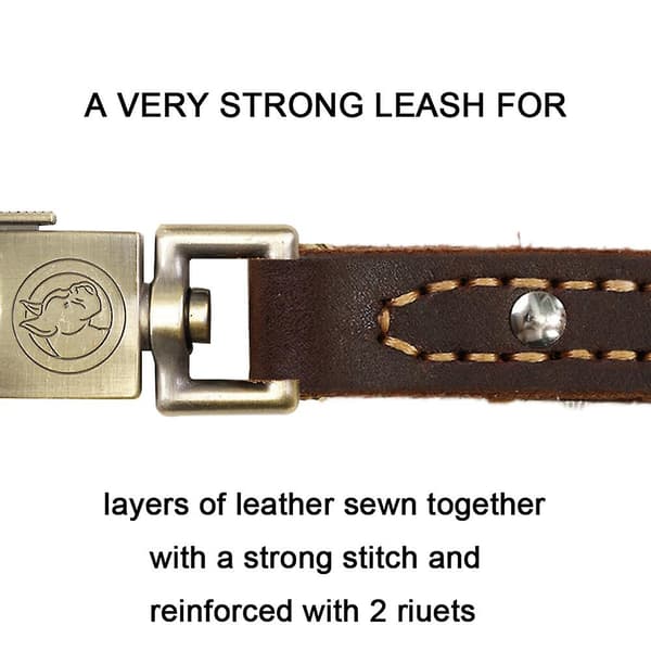 2023 Dogs Leather Braided Dog Short Traffic Leash Braid