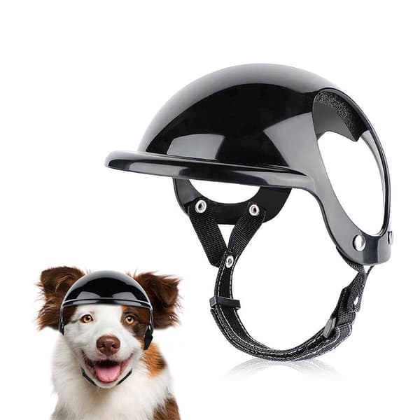 Mordely Husdjurshjälm Dog Riding Cap M