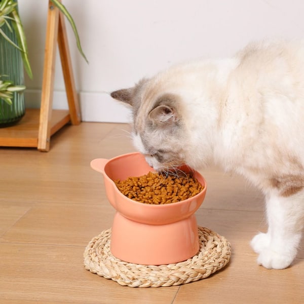 Mordely Pet Bowl High Feeding Bowl BLÅ Blue