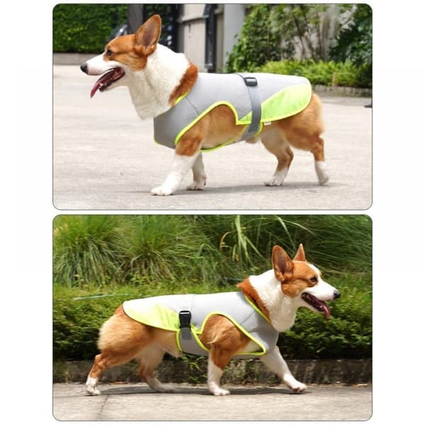 Sommar Dog Kylväst Hundkläder LJUSGRÅ light grey XL
