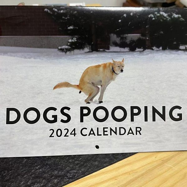 Mordely Rolig kalenderpresent 2024-kalender för hundbajsande kalender