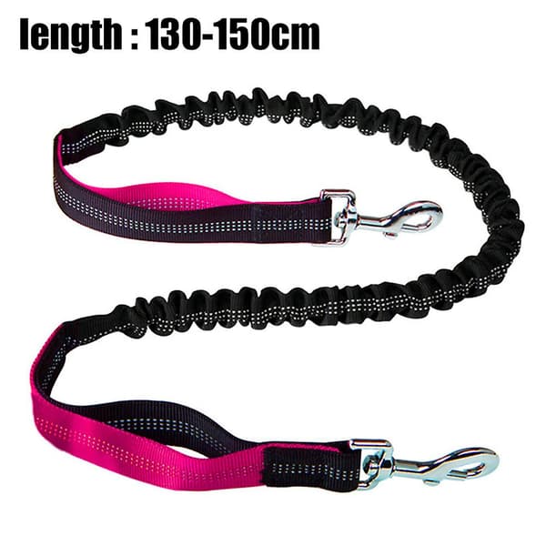 Mordely Dog Leash Traffic Padded Two Printing Handle, Reflective Leashes For Control Safety Training