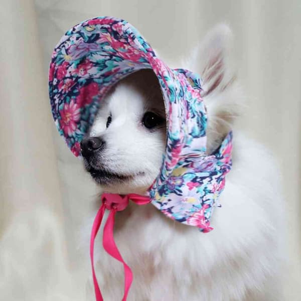 Pet Blommig hatt Hund Visir Cap BÅ blue L