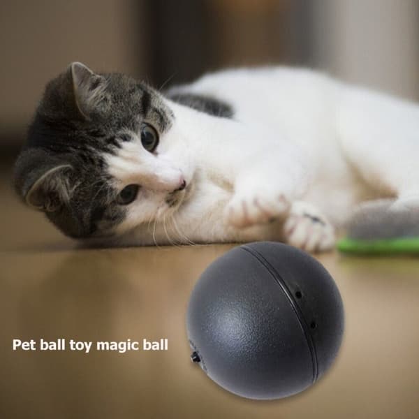 Mordely Magic Roller Ball Toy Automatisk Pet Hund Cat Active Rolling Ball