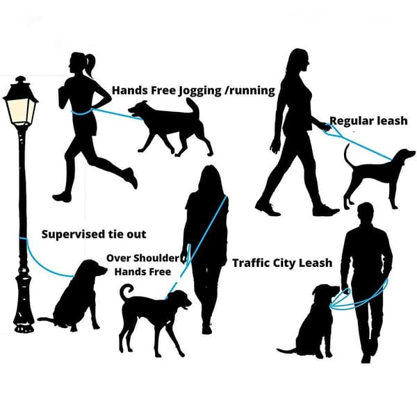 Dog Training Leash Made For Puppy, Medium, And Large Dog