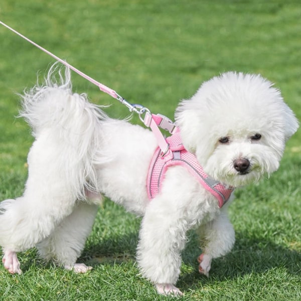 Mordely Hundesele til hunde Hundebrystrem PINK pink M