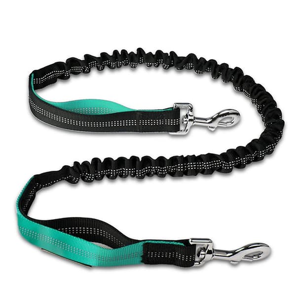 2023 Dog Leash Traffic Padded Two Printing Handle, Reflective Leashes For Control Safety Training