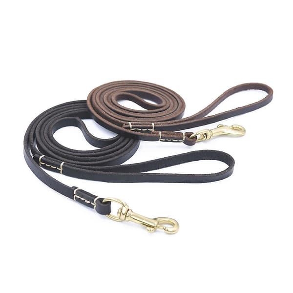 Leather Training Leash For Dogs