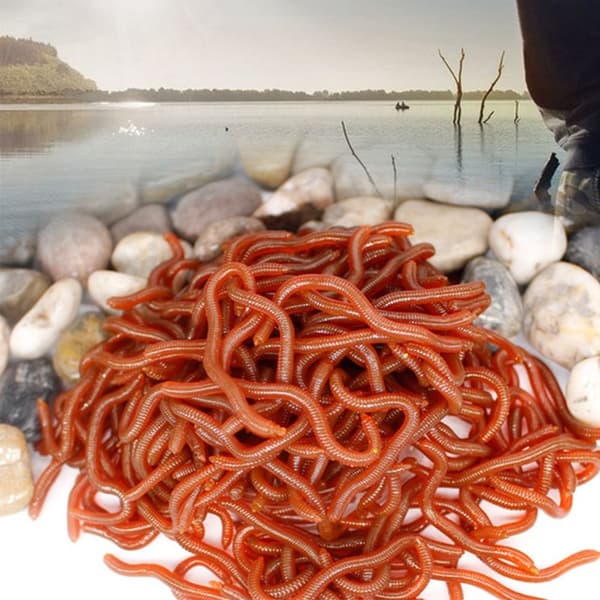 Mordely 100st Worm Red Baits Fiskedrag 5CM-100ST 5CM-100ST 5cm-100pcs