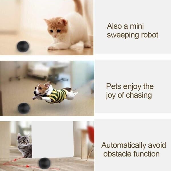 Mordely Magic Roller Ball Toy Automatisk Pet Hund Cat Active Rolling Ball