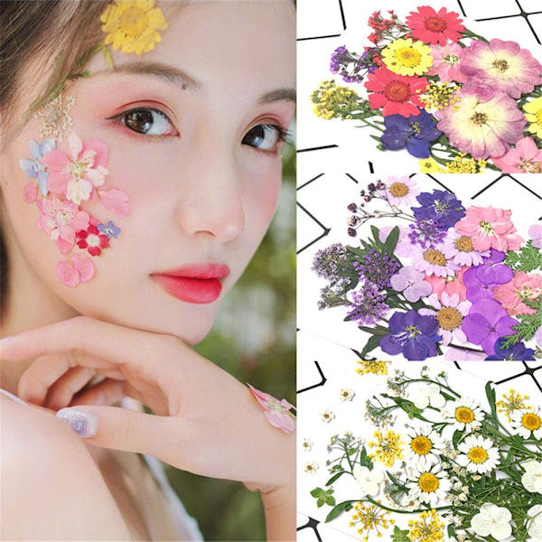 Mordely Nail Art Decorations Real Torkad Flower Face Sticker Decor
