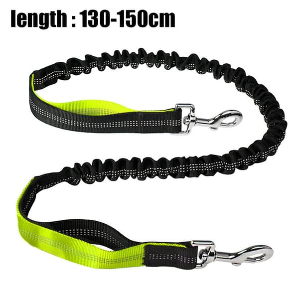 Dog Leash Traffic Padded Two Printing Handle, Reflective Leashes For Control Safety Training