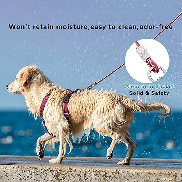 Mordely Dog Leash, Easy To Clean Training Dog Leash