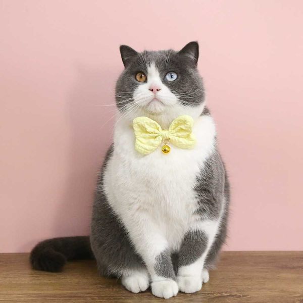 Mordely 2ST Pärlhalsband ROSA pink