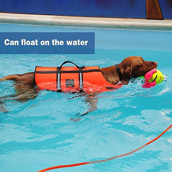 Mordely Dog Training Leash For Training, Playing, Swimming, Beach