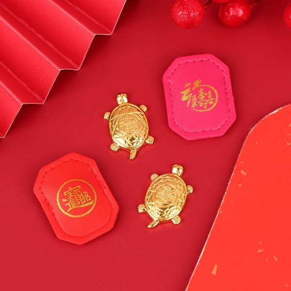 Mordely 2st present Miserly Turtle Feng Shui 4